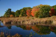 [Walkers Pond in fall.]