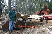 [Jim Littlefield poses by the prize pine log.]