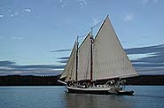 [Schooner sailing into Bucks Harbor, Brooksville, Maine.]