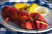 [A catered lobster dinner at the beach
.]